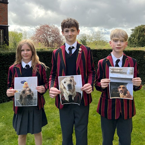 Fur-tography Competition