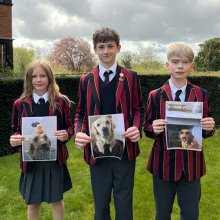 Fur-tography Competition