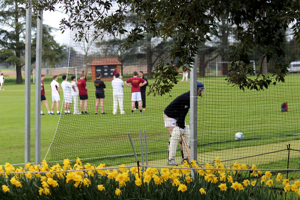 Shiplake College Cricket