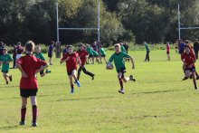 Sports Report 1 October 2019