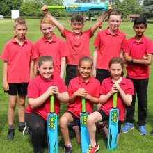 Primary Cricket Tournament