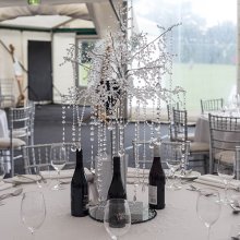 Diamond Ball raises over £10,000 