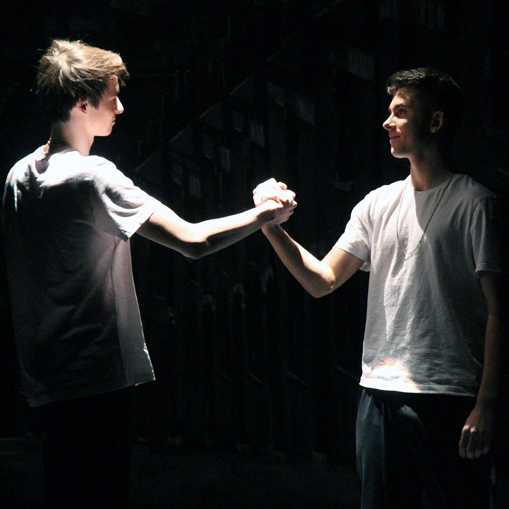 Blood Brothers: Review