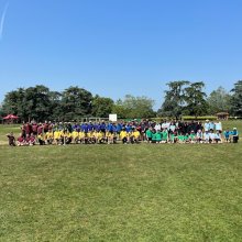 A Festival of Cricket