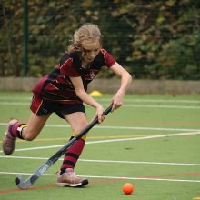 Sports Report 12 November 2024