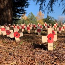 Shiplake College Remembrance Shiplake College Remembrance