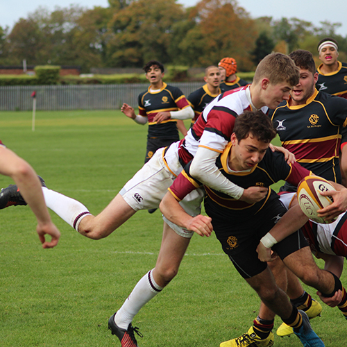 Sports Report 7 November