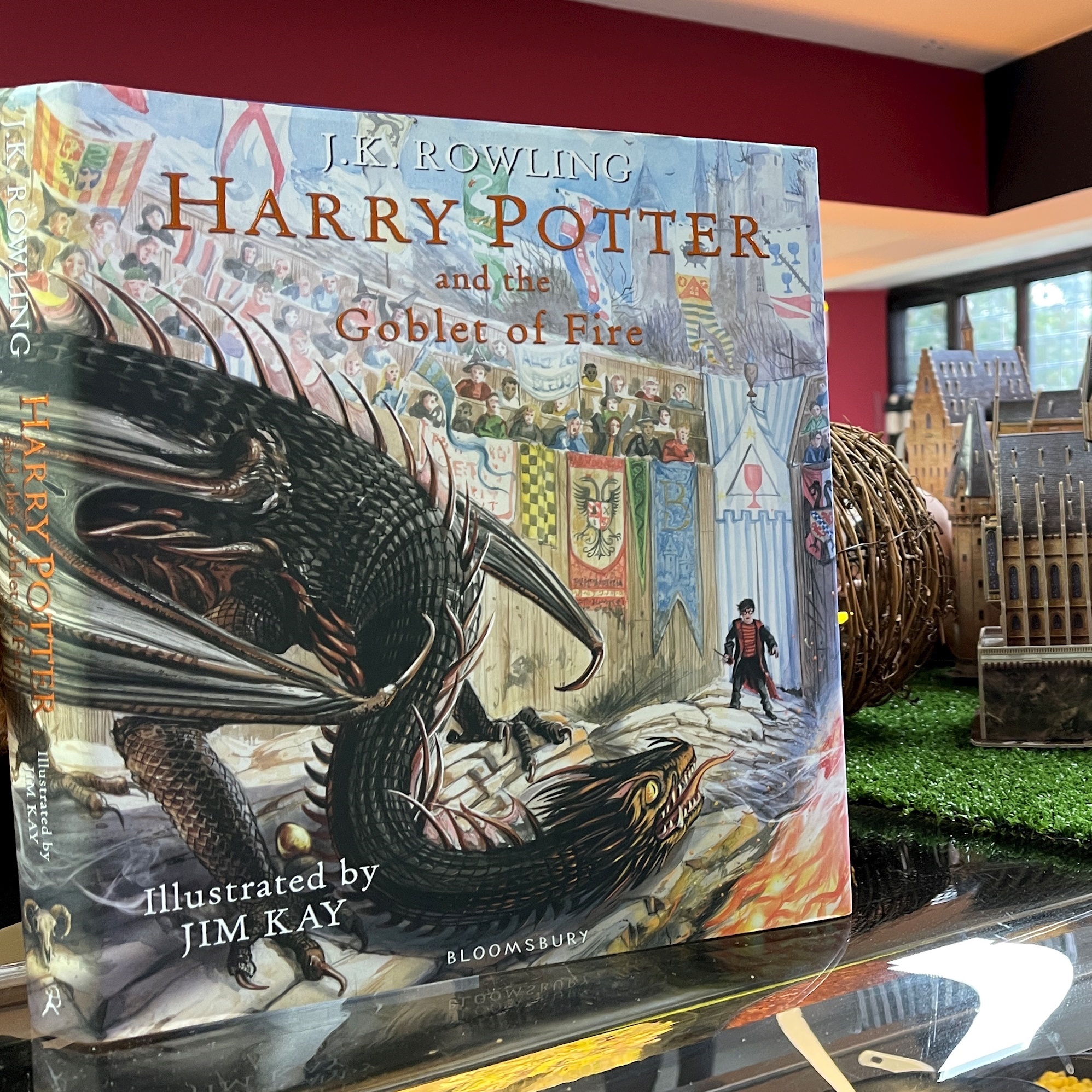 Harry Potter Book Night