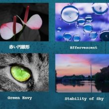 Art & Photography Summer Exhibition