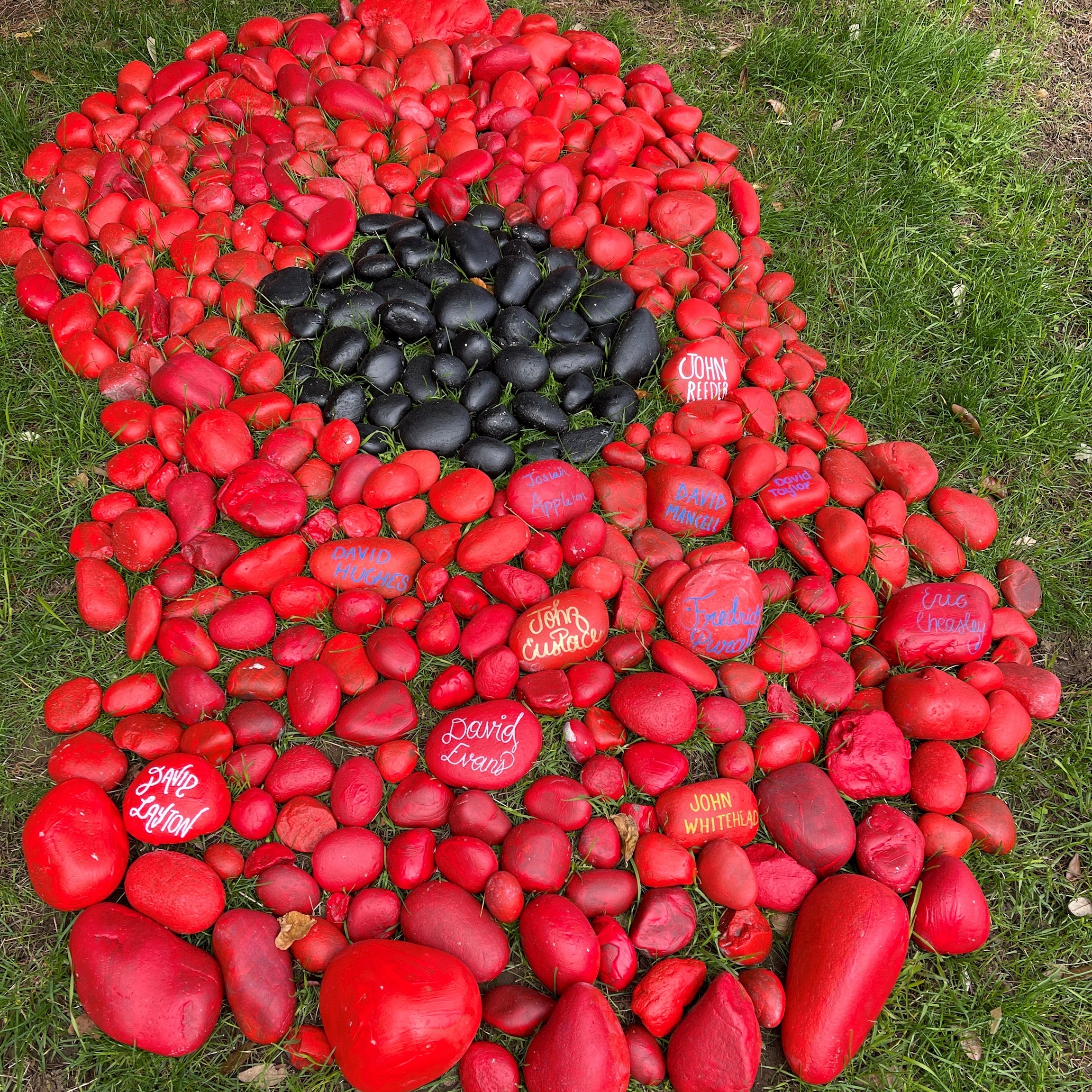 Remembrance Poppy Art