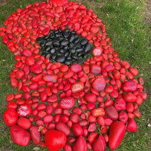 Remembrance Poppy Art