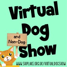 Dog Show Voting is Open! Dog Show Voting is Open!