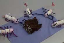 Meet the Mallowpedes Meet the Mallowpedes