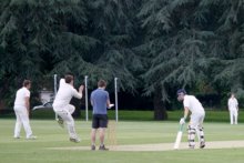 Orchard Storm to Cricket Glory Orchard Storm to Cricket Glory