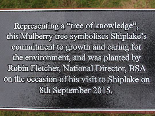Tree of Knowledge Planted