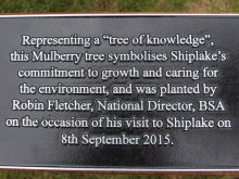 Tree of Knowledge Planted